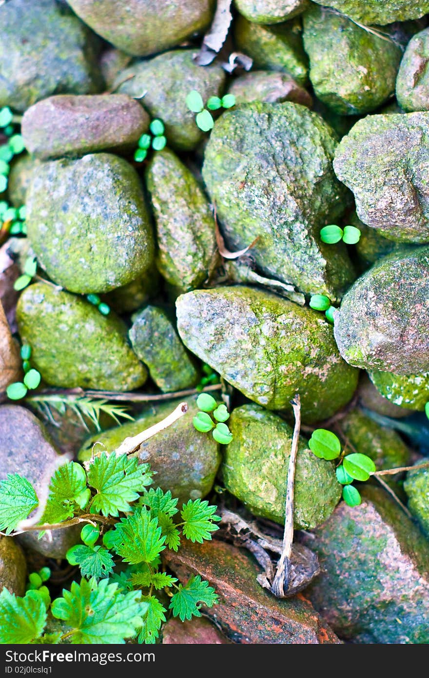 Pebble stones in sunny day great as a background