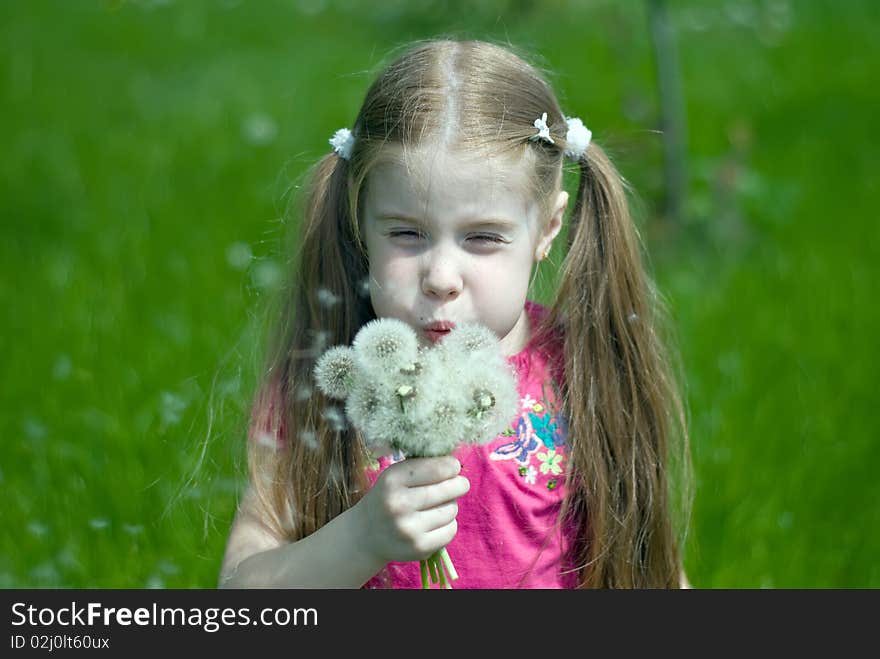 Little girl with dandelions