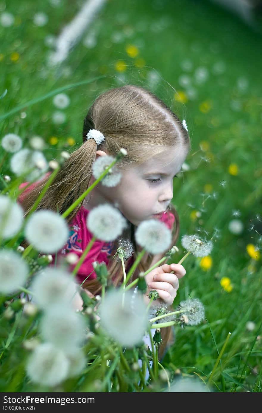 Little girl on a green meadow blowing a bouquet of dandelions. Little girl on a green meadow blowing a bouquet of dandelions