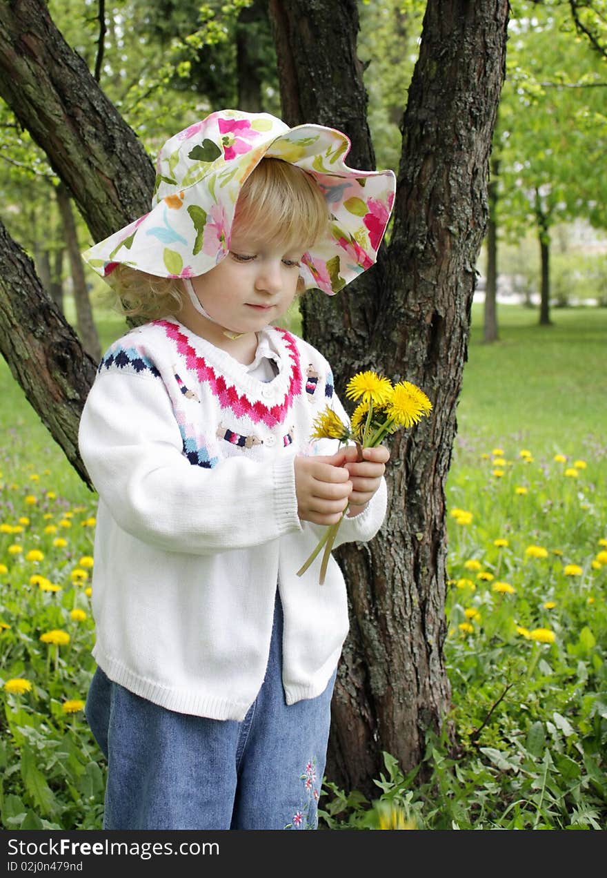 The little girl collects dandelions on a stroll in the park