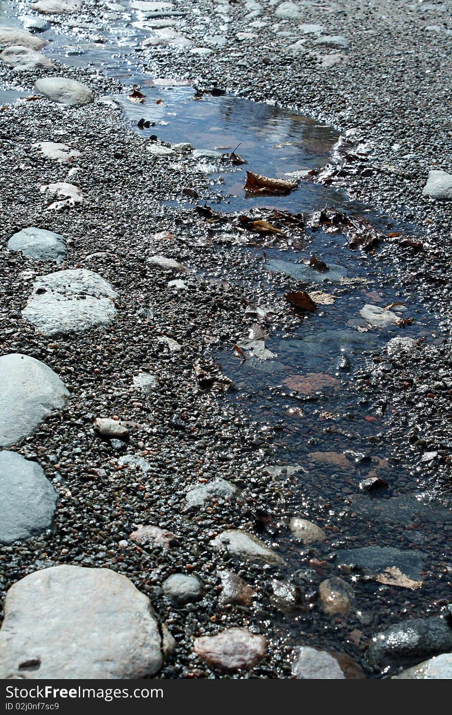 A Dry Autumn Leaves On The Ground