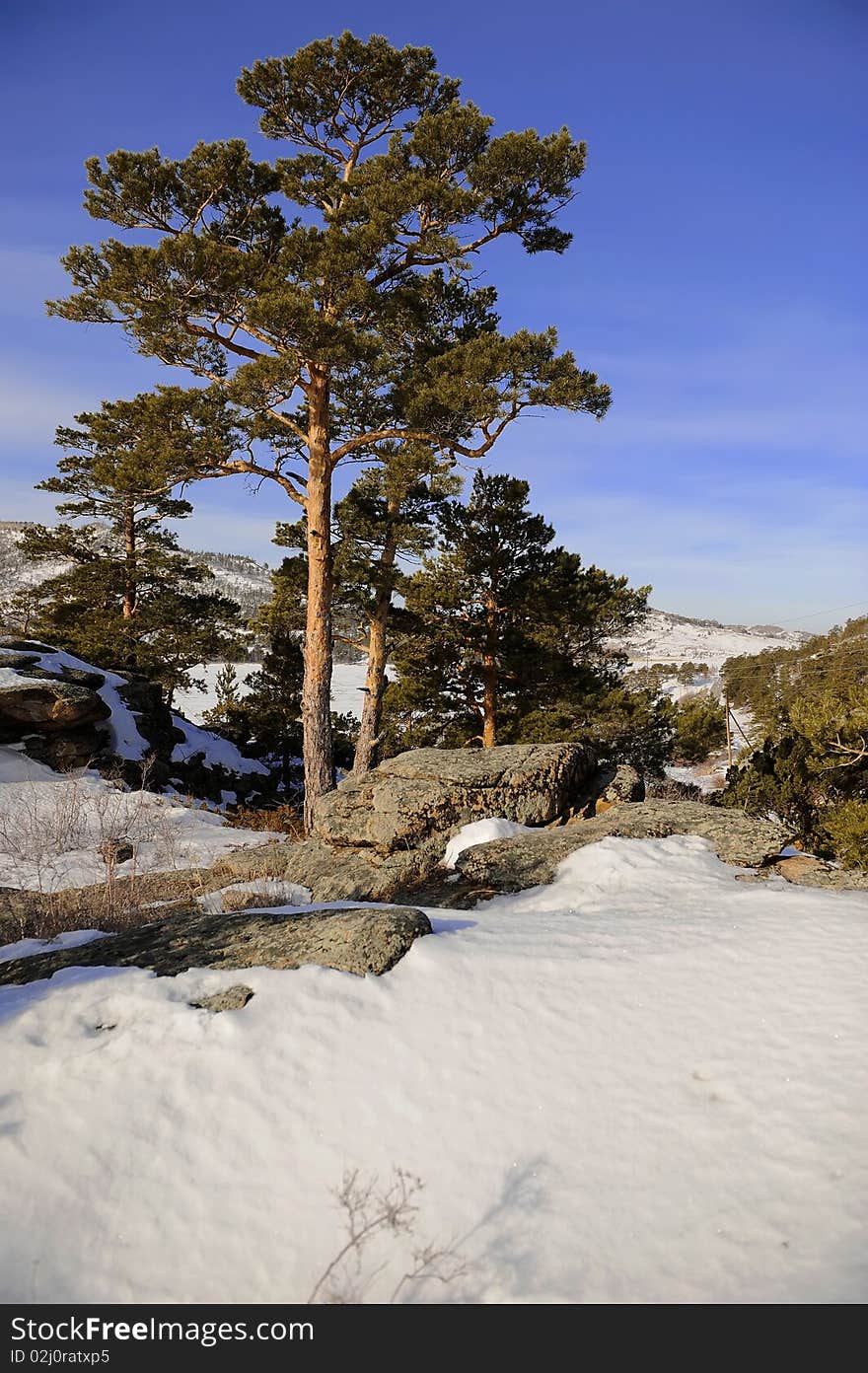 Winter in mountains