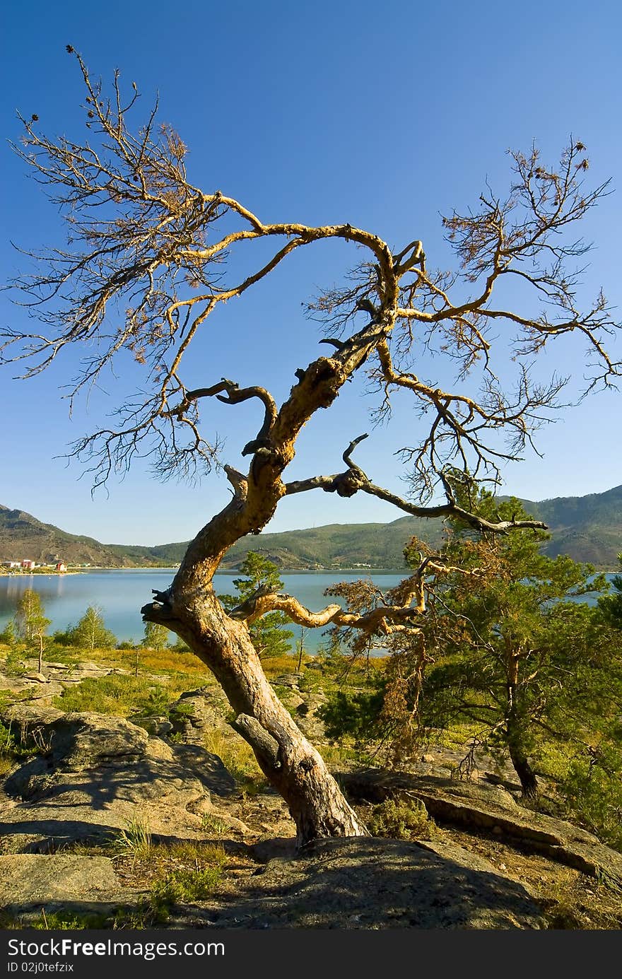 Summer sunny day in mountains, a sunny day with the blue sky, a summer landscape