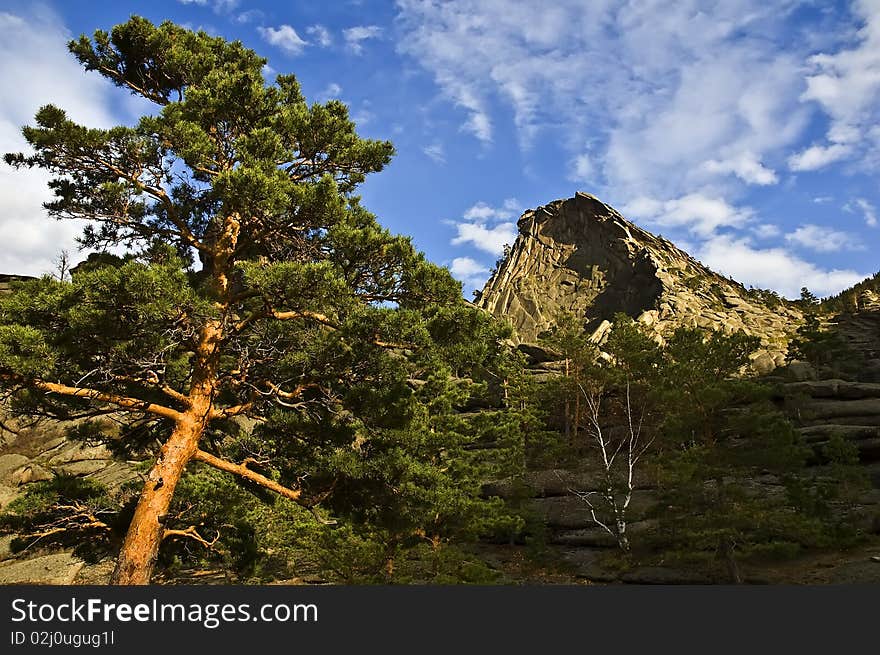 Summer sunny day in mountains, a sunny day with the blue sky, a summer landscape