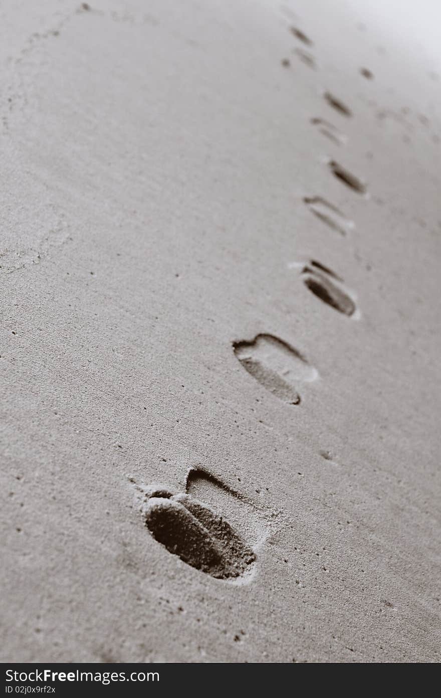 One find day on the beach. One find day on the beach