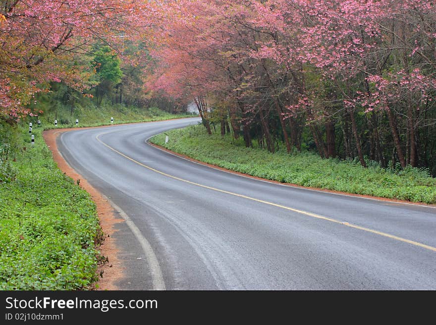 Doi Ang Kang, in Chiang Mai province, is an area on the border with Myanmar. Doi Ang Kang, in Chiang Mai province, is an area on the border with Myanmar.