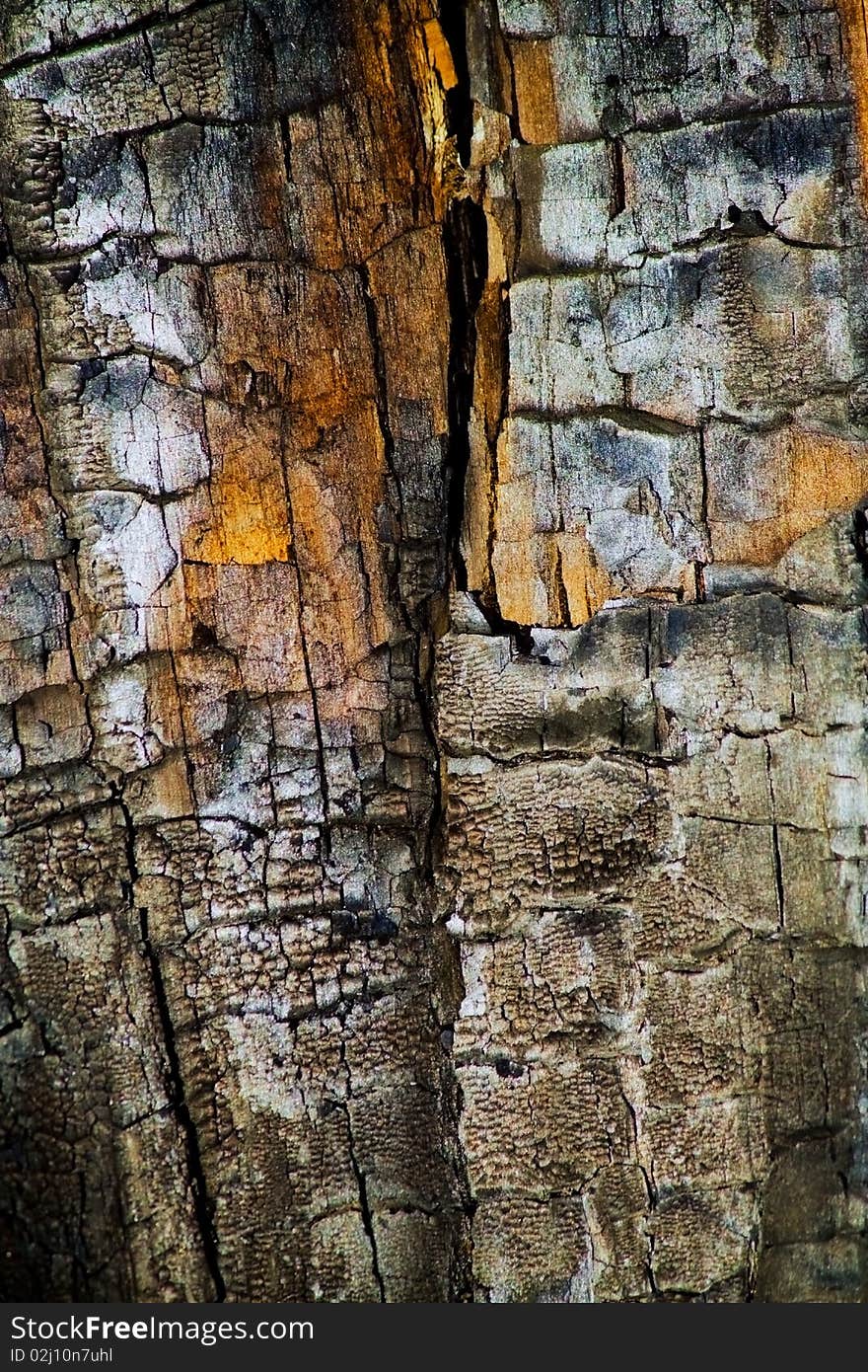 The texture on the background of burnt wood. The texture on the background of burnt wood