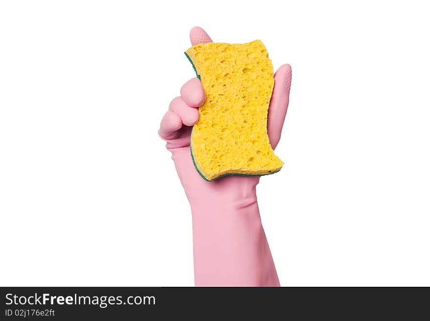 Glove holding sponge