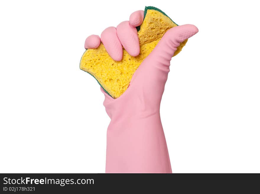 Glove Holding Sponge