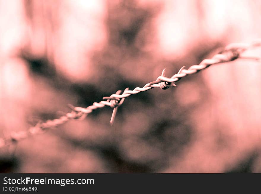 The prickle steel wire macro