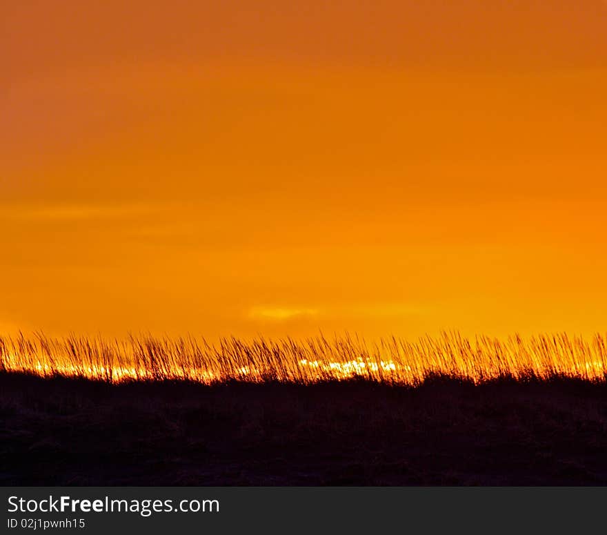 Bright sunrise pushing over the sea grass. Bright sunrise pushing over the sea grass