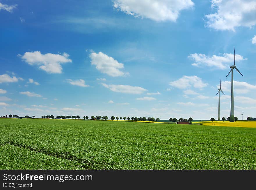 Wind Turbines Among Rapeseed Field And Meadows