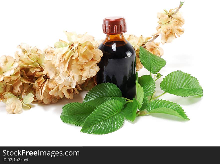 Medicinal plant with a bottle isolated on white background