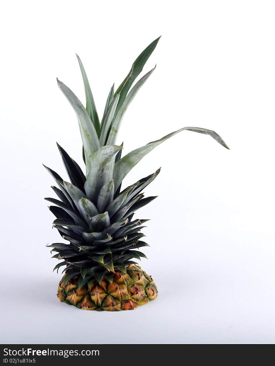 Top of a pineapple isolated. Top of a pineapple isolated