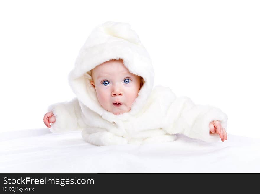 Cute little bol with a warm coat on white background