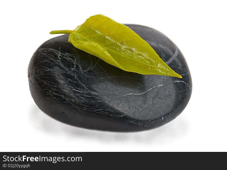 Tree leaflets lies on stone isolated in white