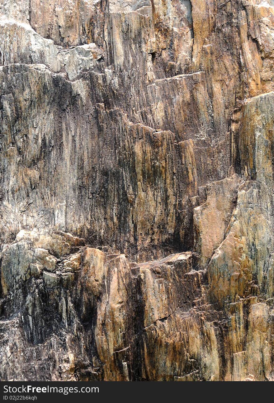 Abstract image from fossil wooden surface