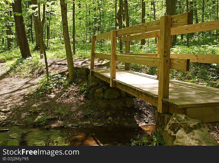 Walking path in the woods. Walking path in the woods.