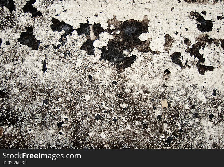 Grunge shabby background, black and white. Grunge shabby background, black and white