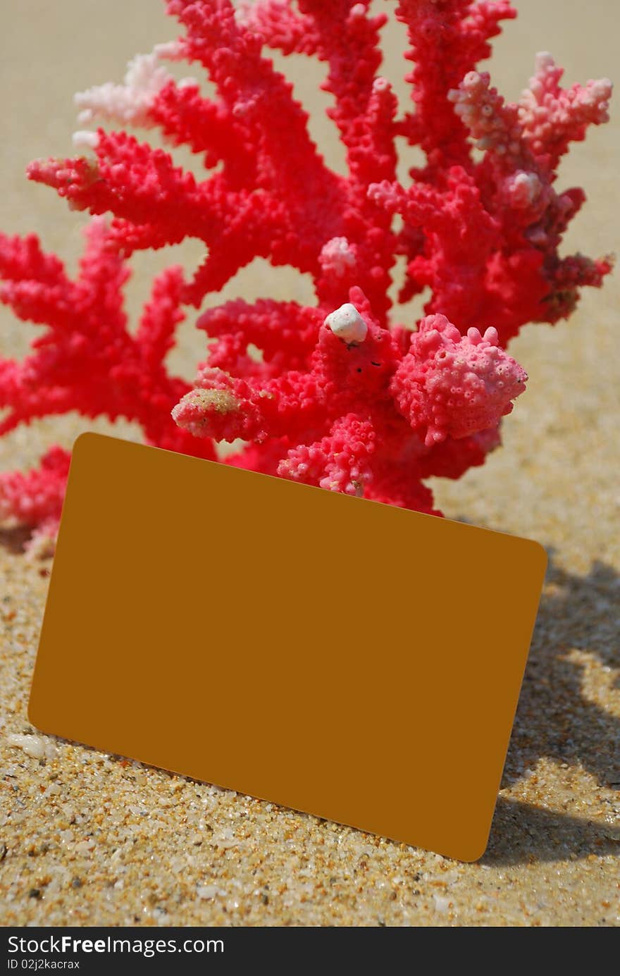 Coral and cards