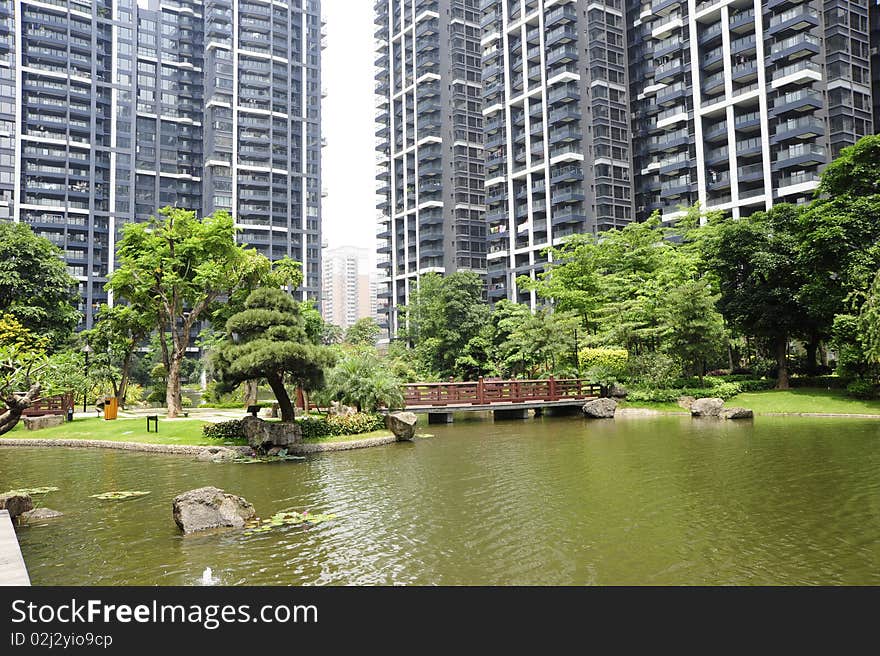 Garden in China,green plant