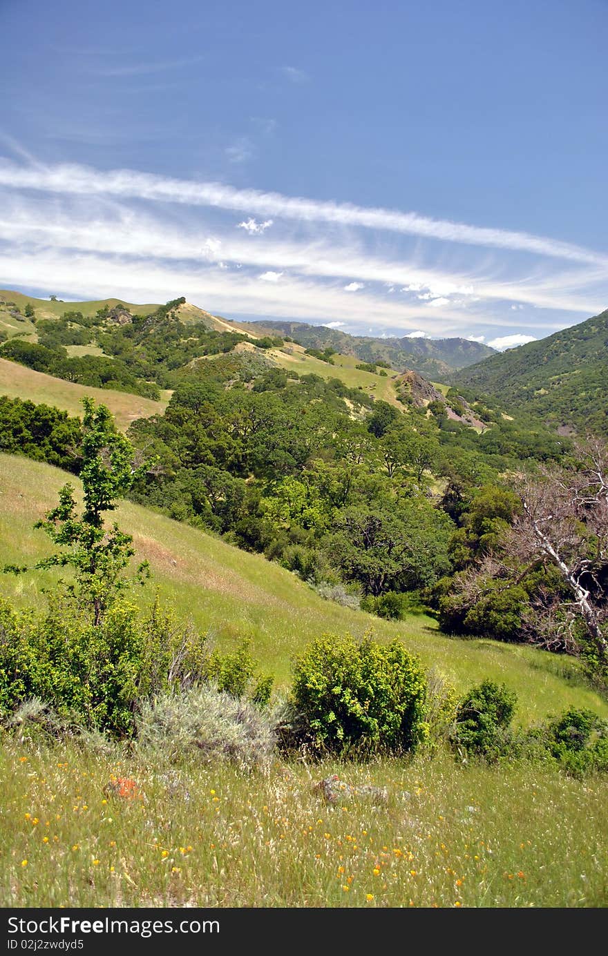 Scenic hills green tree landscape.