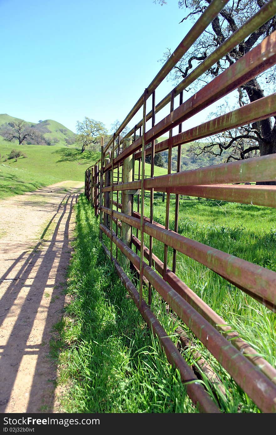 Meadow Fence