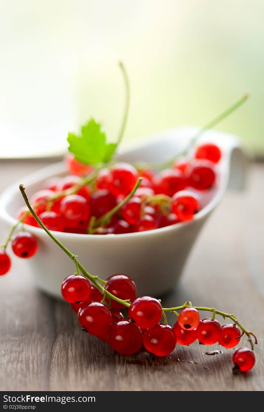 Red currant