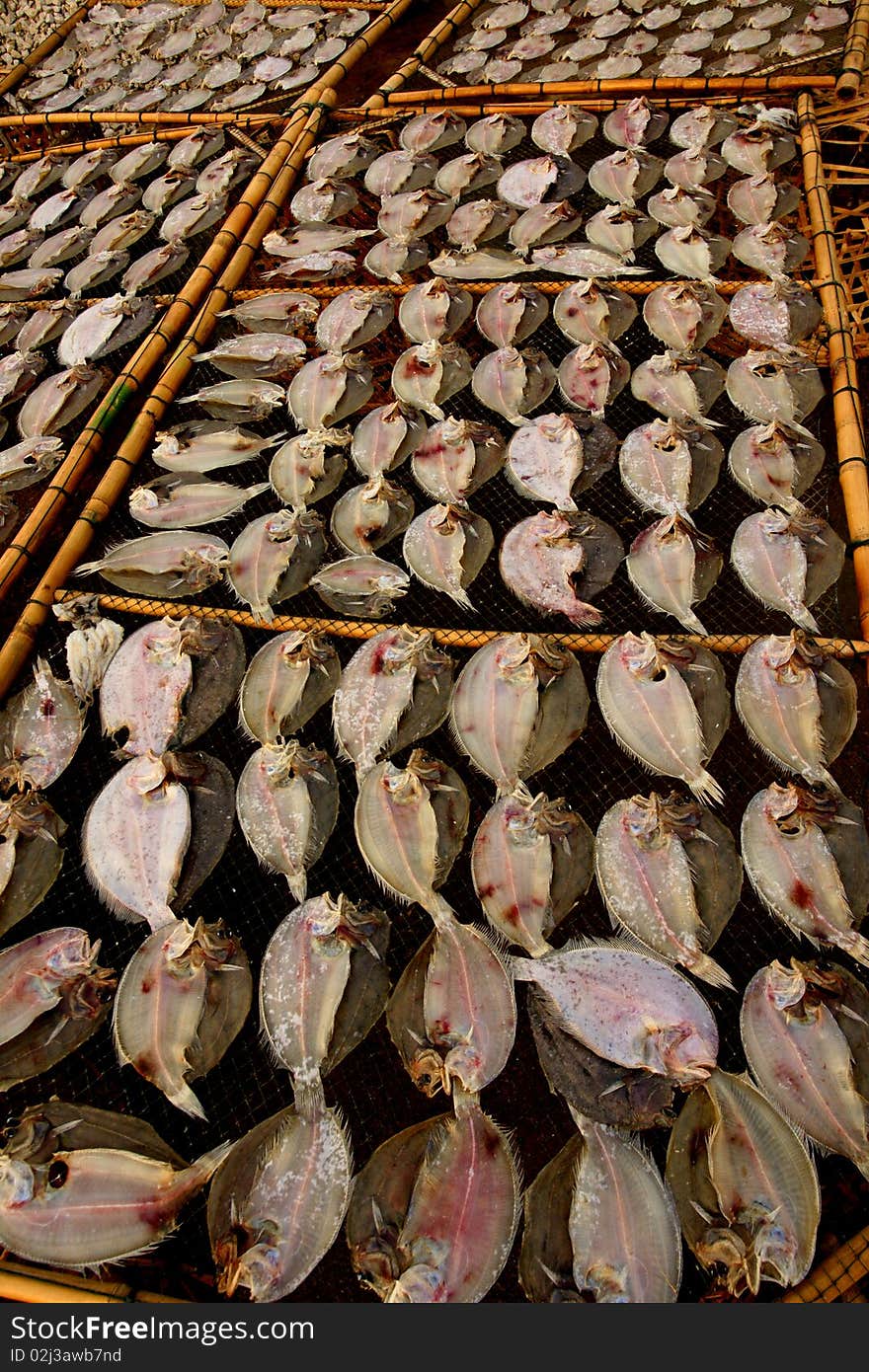 Dried fish on the net.