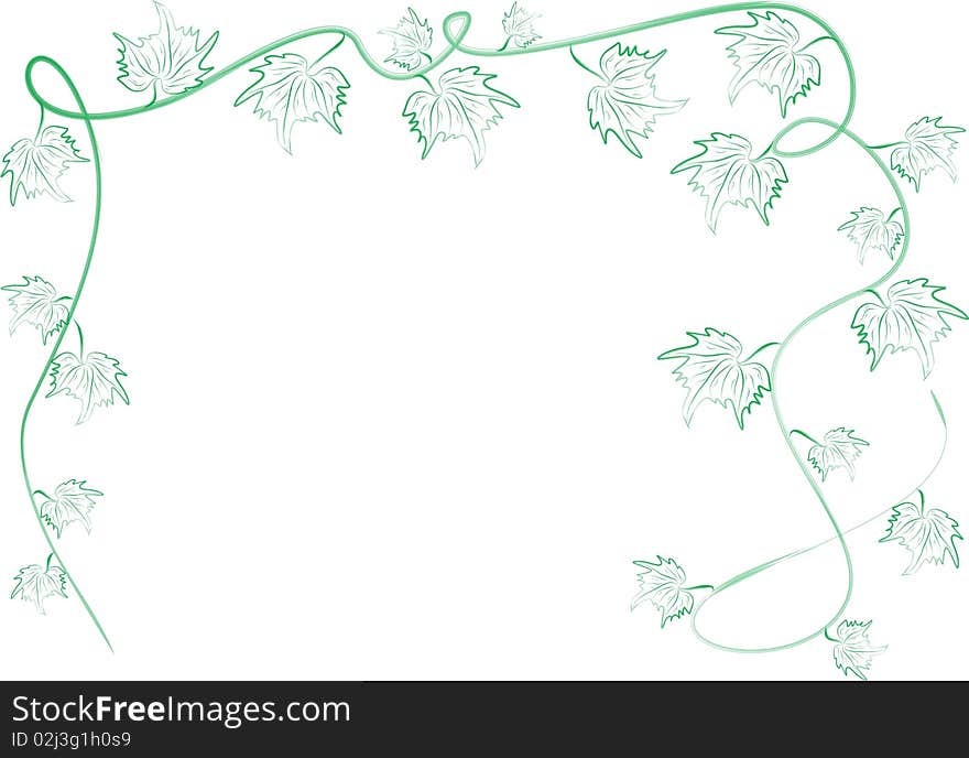 Green grape leafs ornament frame on the white background