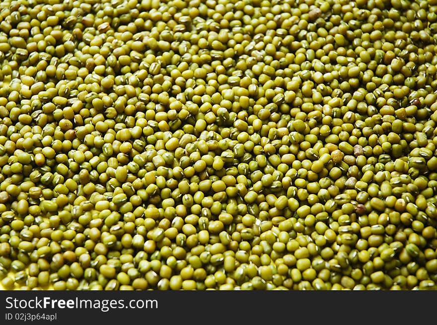 Isolated macro of green bean