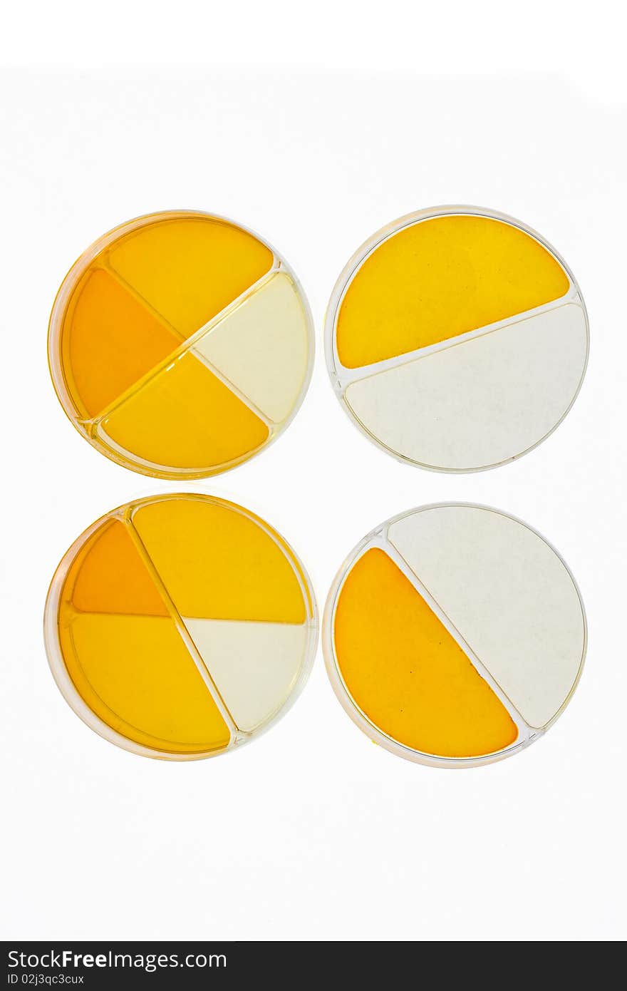 Petri Dishes Medical Research