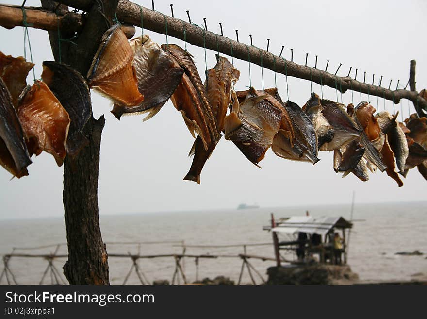 The winter senery of souh China sea. The winter senery of souh China sea