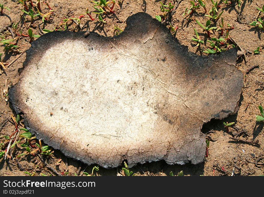 Deification of old paper on the sand. Deification of old paper on the sand