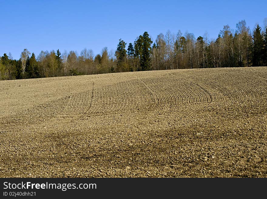 Field in the spring time near Oslo, Norway. Field in the spring time near Oslo, Norway