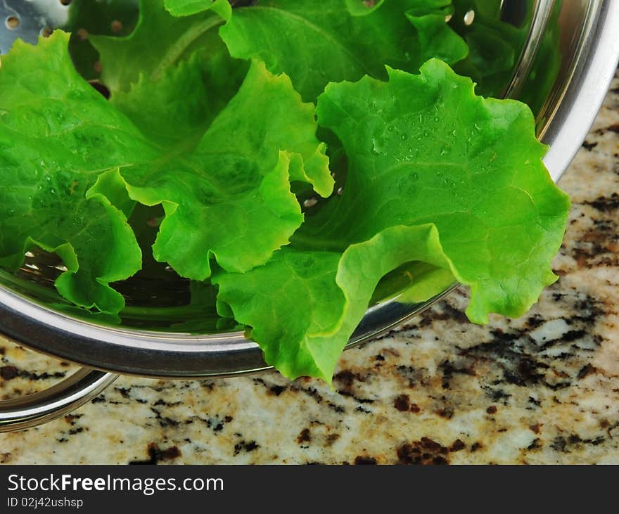 Lettuce In Colander On Granite Counter