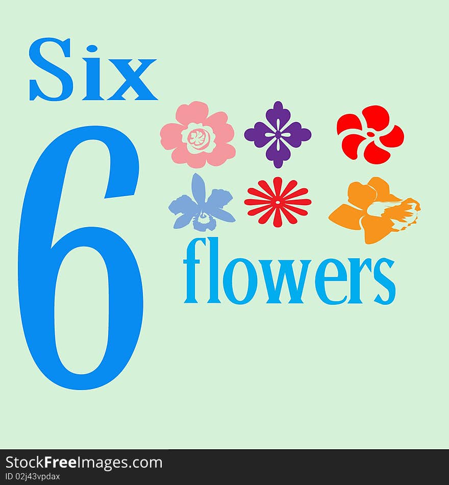 Six Flowers