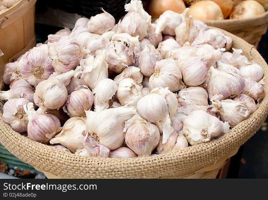 Garlic