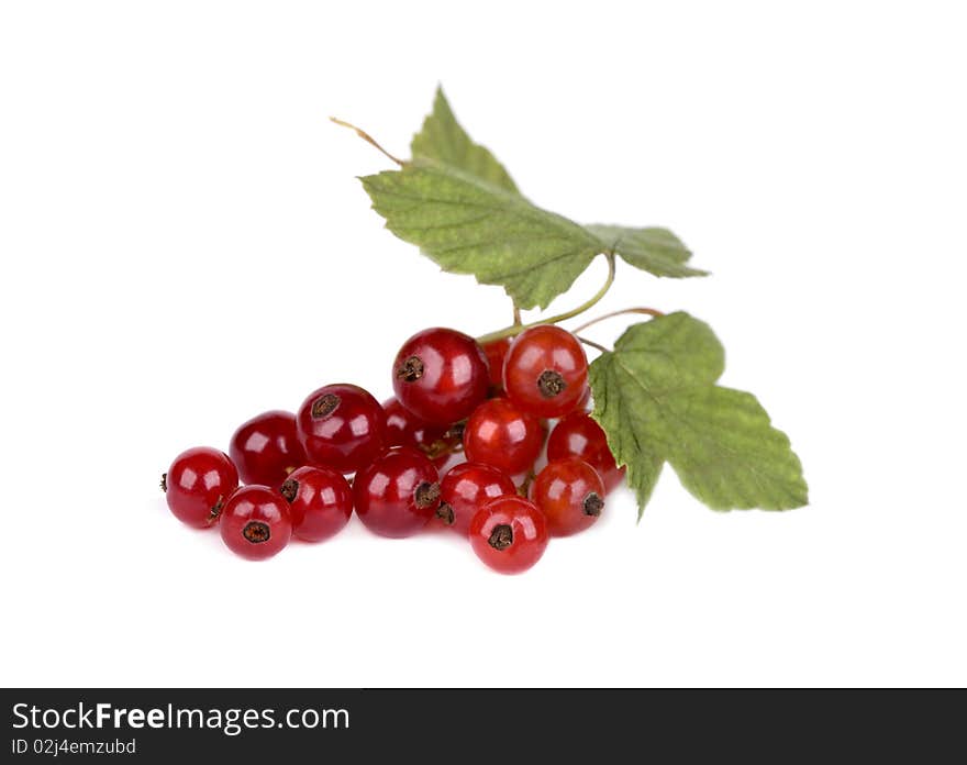 Red currant with green leaves isolated on white background