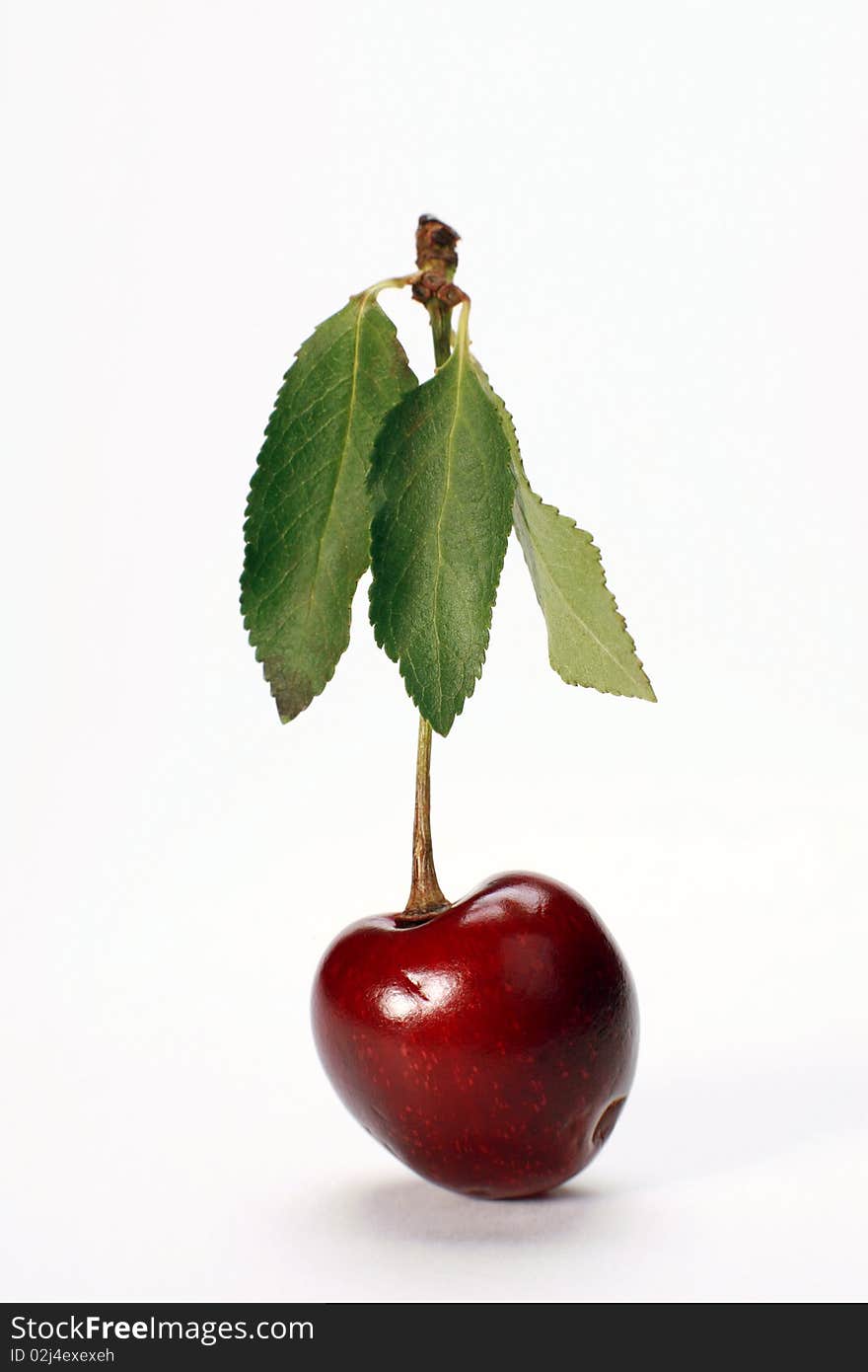 Ripe Cherry