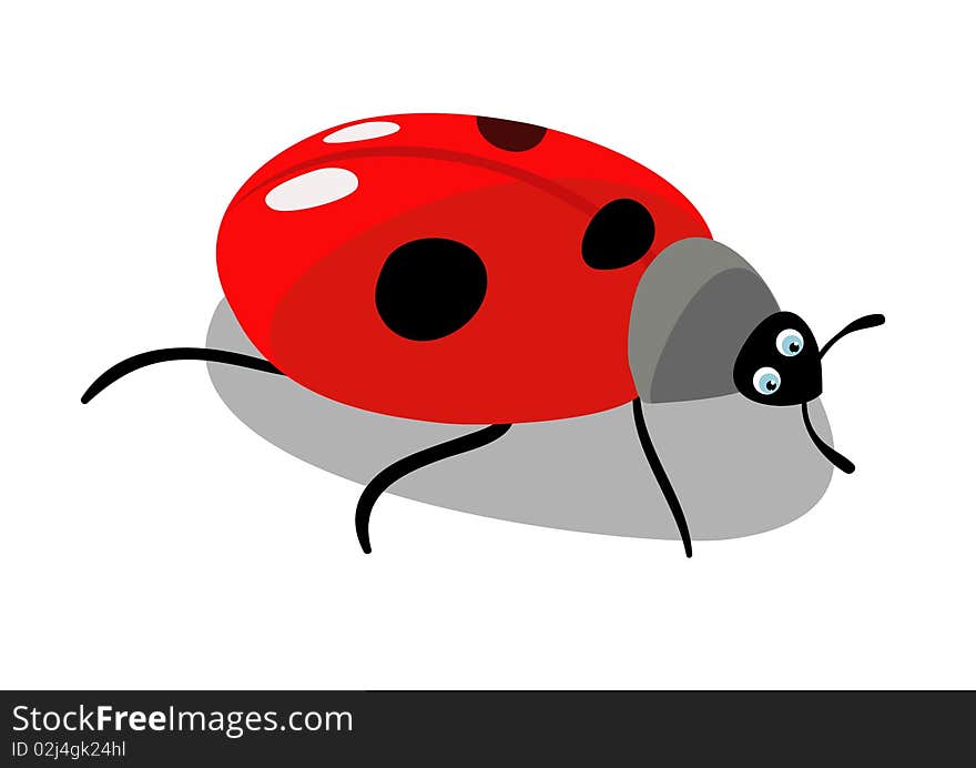 Ladybird