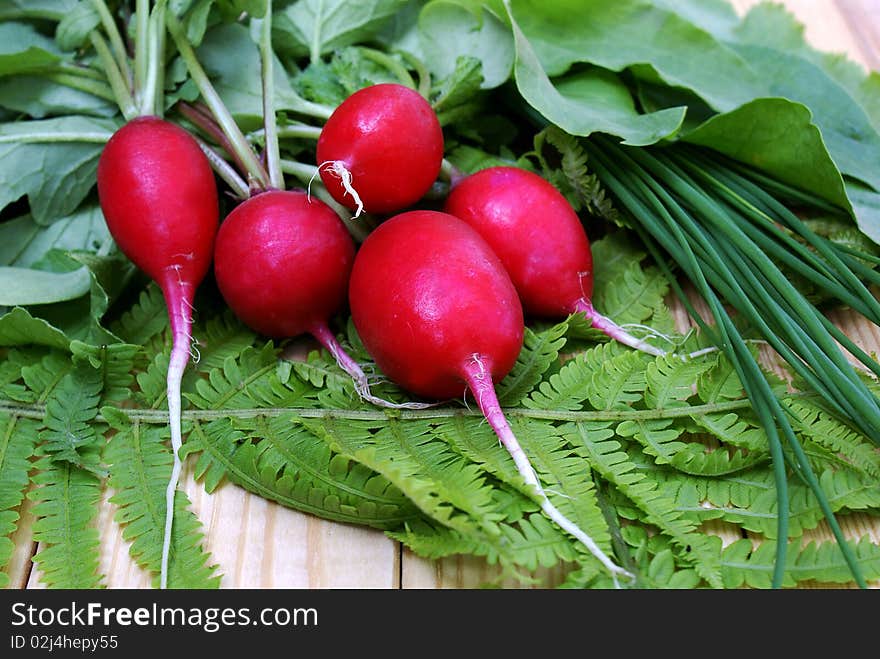 Garden radish-vitamins vegetables