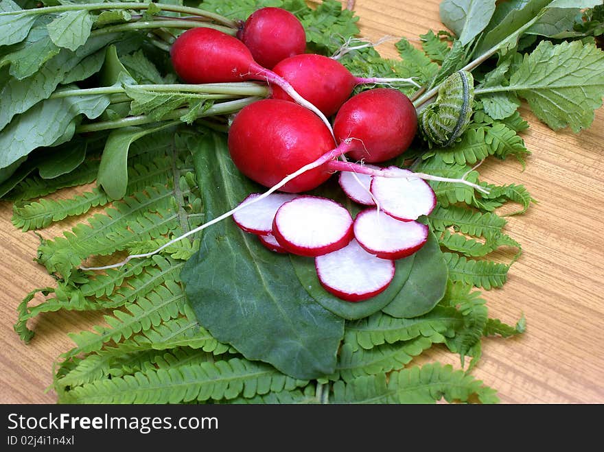 Garden radish-effective vitamin root apply in food