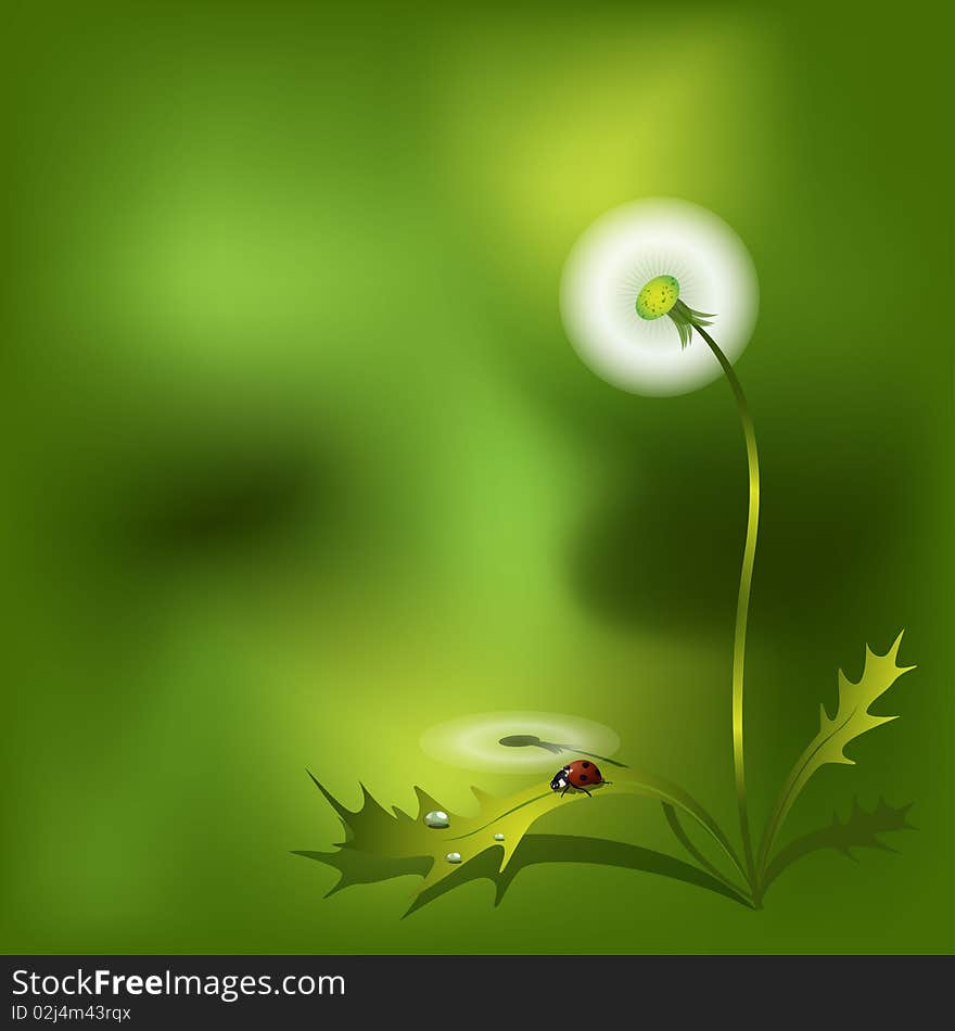 Illustration, feathery dandelion on green background and Ladybird