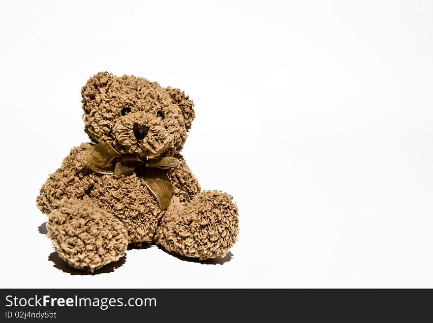 Teddy bear in a white background. Teddy bear in a white background