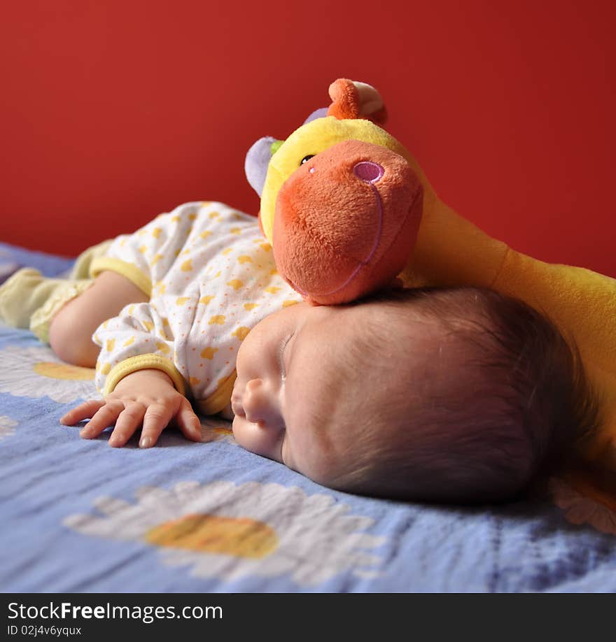 Baby Girl Sleeping With A Plush Toy