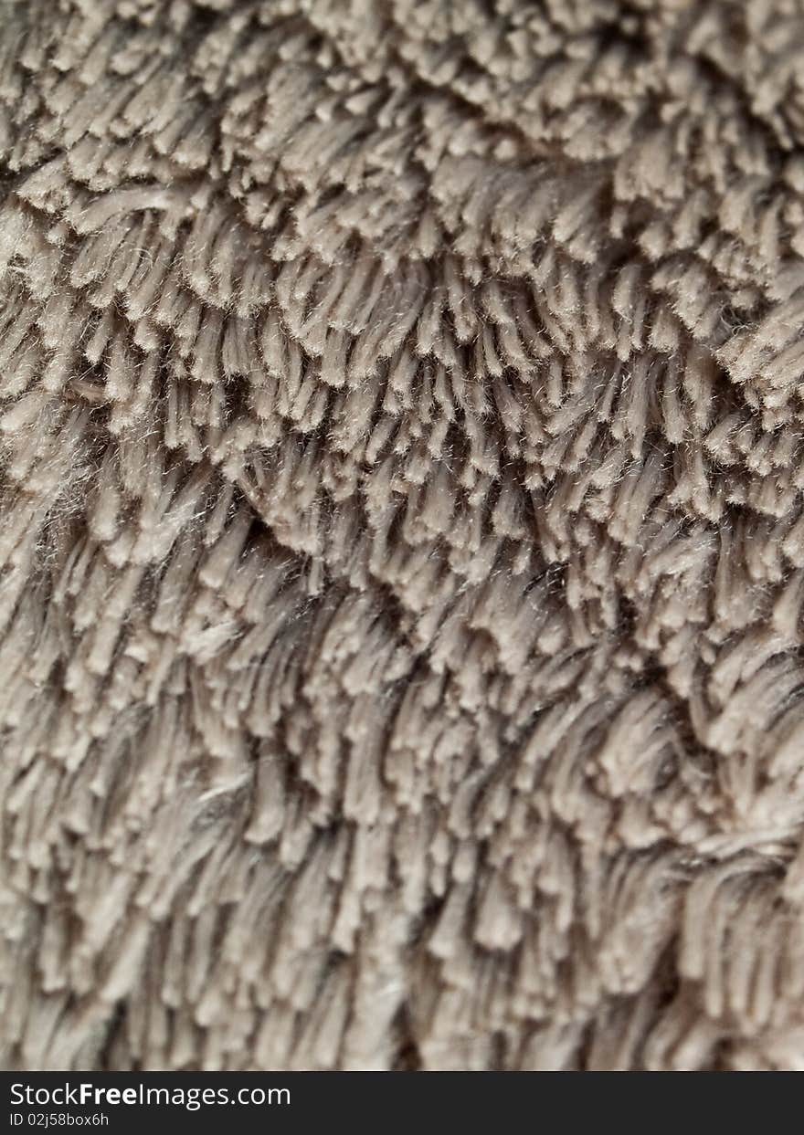 Texture