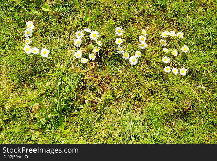 The love in the meadow