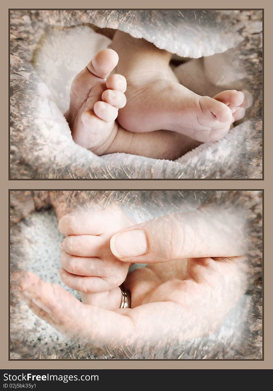 Collection of baby feet and hands held by mother