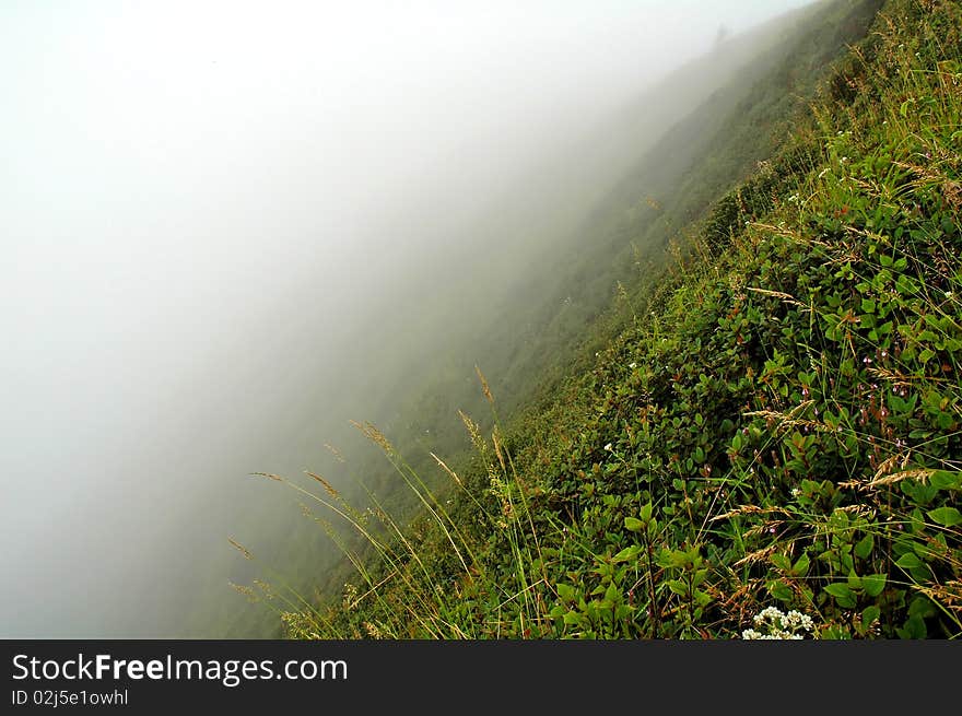 Sub, alphine climate, inthanon mountain